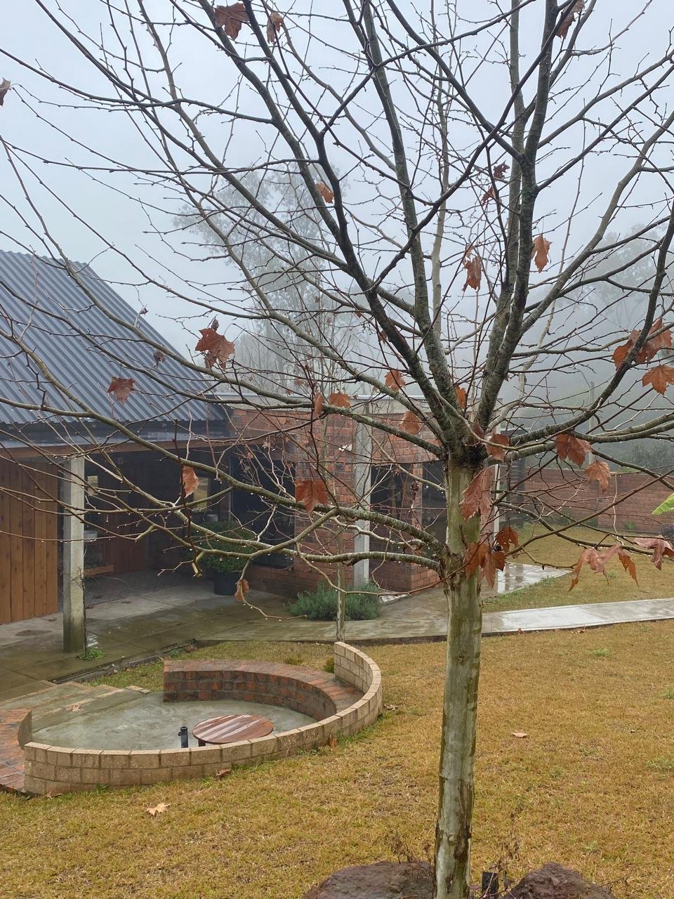 Casa Angelina no outono-inverno 6